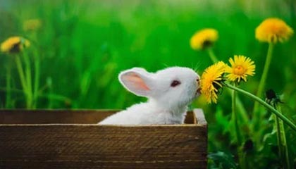 爱游戏全站注册-【比赛总结】胜负背后隐藏的战术智慧，比赛有胜负的下一句