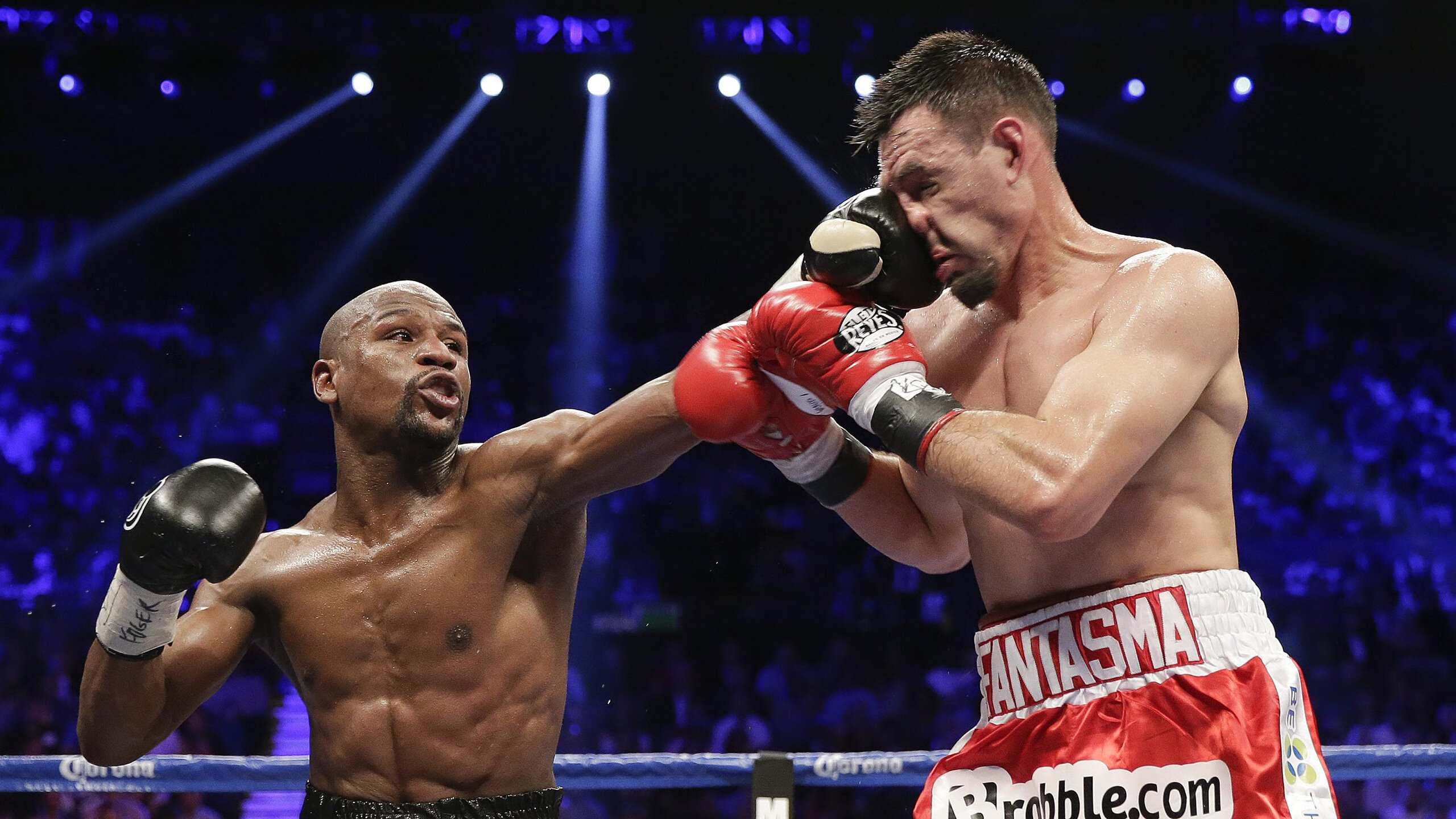 TL开启“与战队共成长”计划