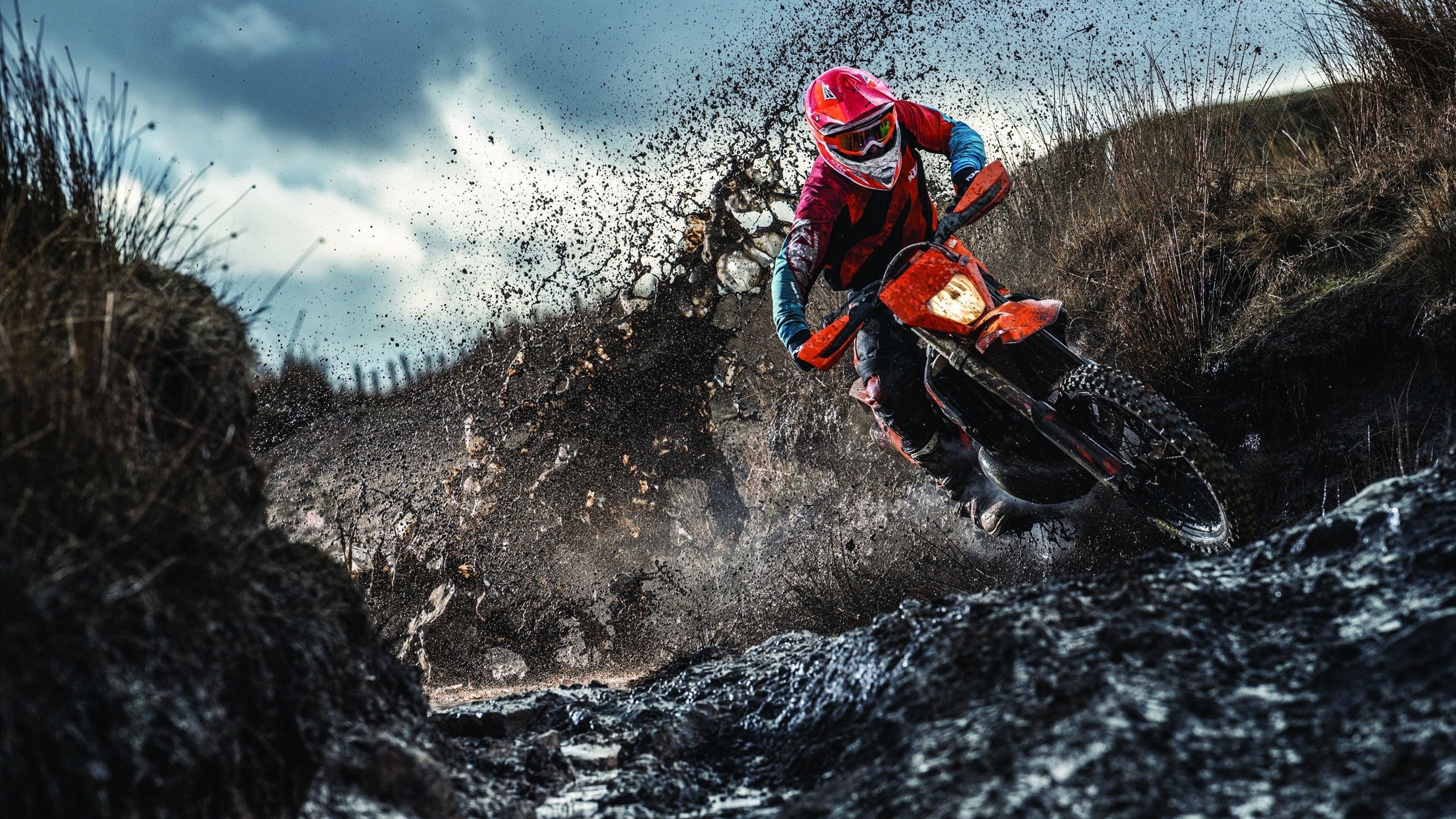 冰岛队遭遇惨败意大利：无缘晋级法国外围，冰岛打进欧洲杯